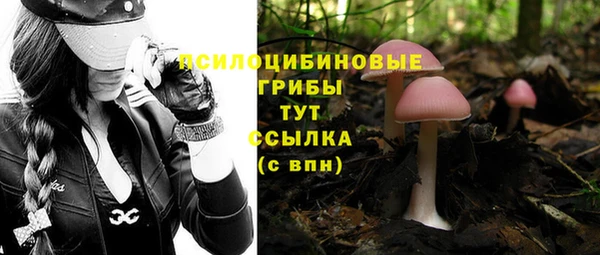PSILOCYBIN Абинск